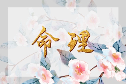 带农历与黄历的万年历,全民农历日历,万年历农历查询